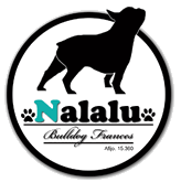 Nalalu — Bulldog Francés
